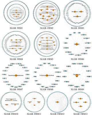 Uncovering Hidden Mechanisms of Different Prescriptions Treatment for Osteoporosis via Novel Bioinformatics Model and Experiment Validation